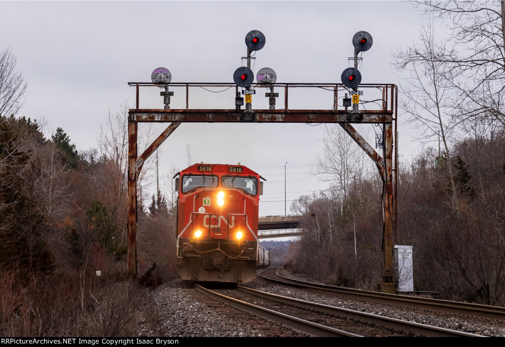 CN 5616